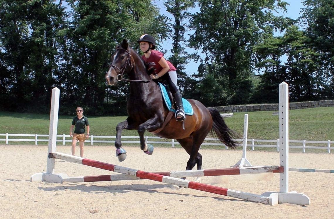 Horseback Riding Camp