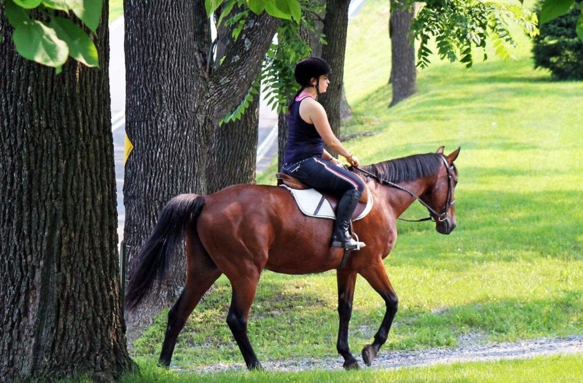 Community horseback Riding Lessons and Programs